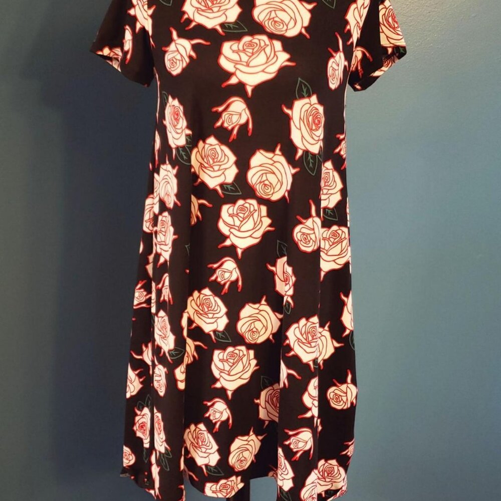 Lularoe Carly Dress